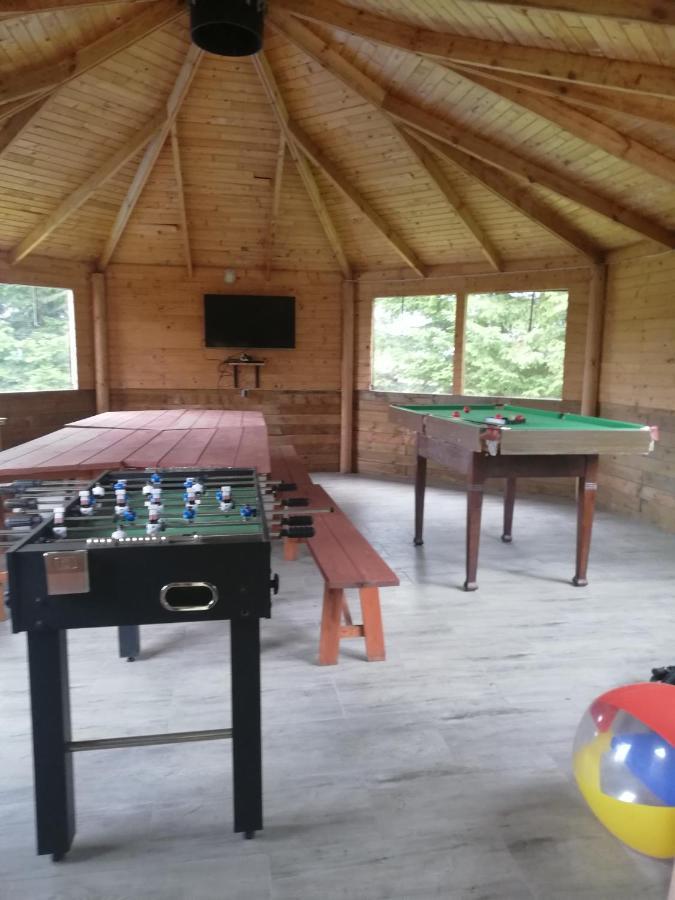 Homestay Malinowy Gaj - Z Alpakami I Innymi Zwierzetami