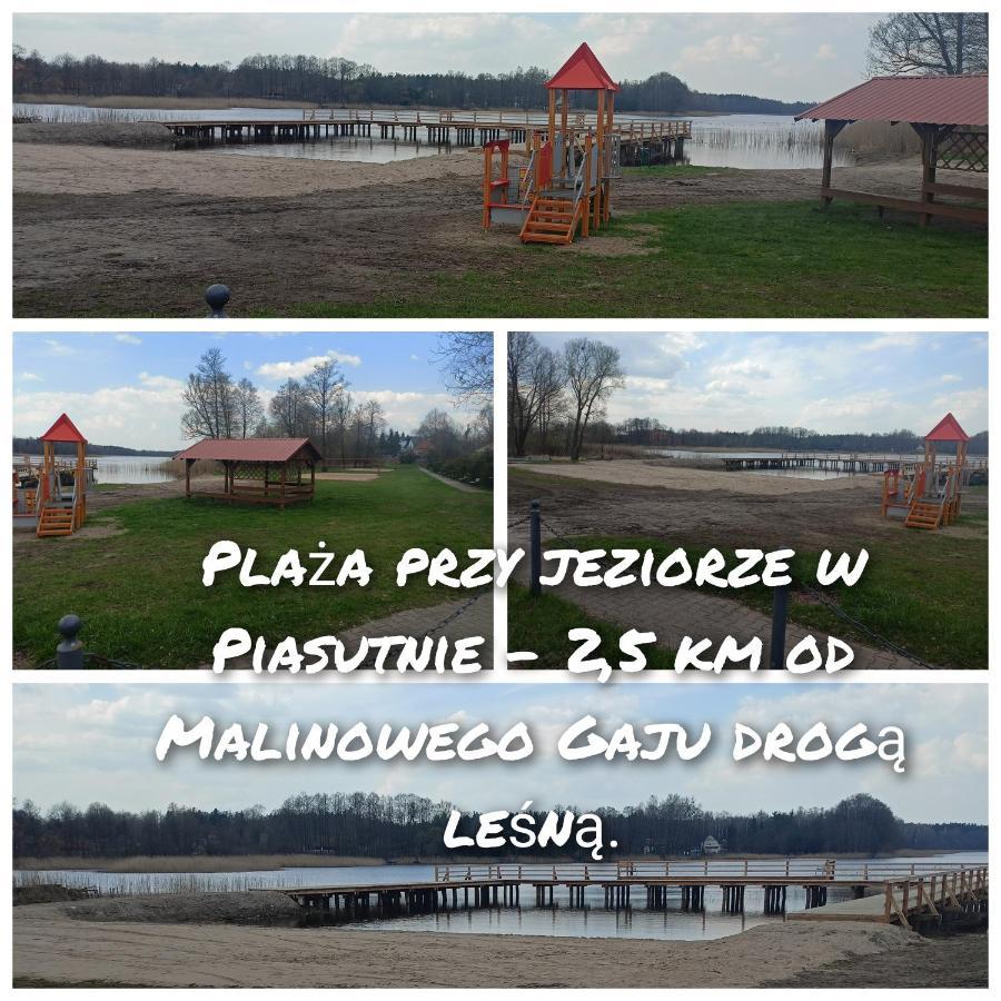 Malinowy Gaj - Z Alpakami I Innymi Zwierzetami Swietajno (Szczytno)