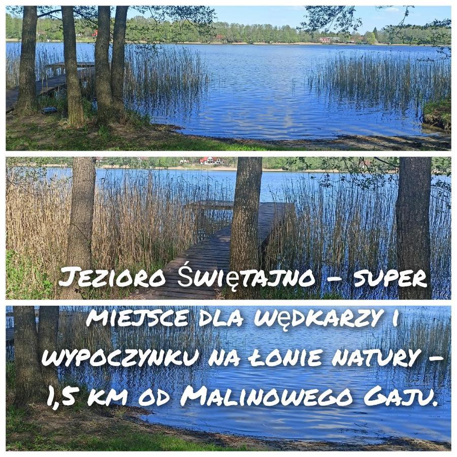 Malinowy Gaj - Z Alpakami I Innymi Zwierzetami * Swietajno (Szczytno)
